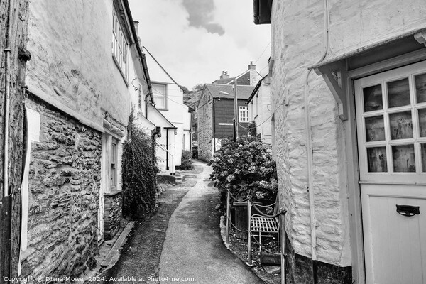Port Isaac Street Monochrome Picture Board by Diana Mower