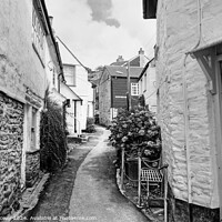 Buy canvas prints of Port Isaac Street Monochrome by Diana Mower