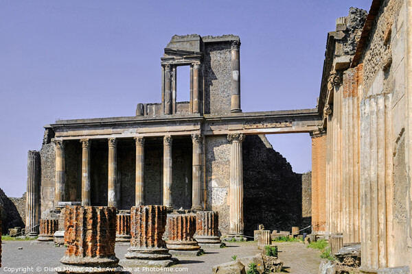 Pompeii Basilica Italy Picture Board by Diana Mower