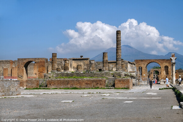 Pompeii The Forum and Versuvius Picture Board by Diana Mower