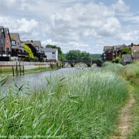 Buy canvas prints of The River Arun at Arundel by Diana Mower