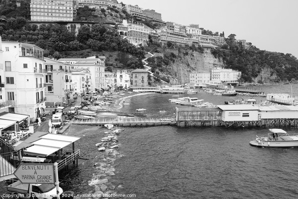  Sorrento Marina Grande Monochrome Picture Board by Diana Mower