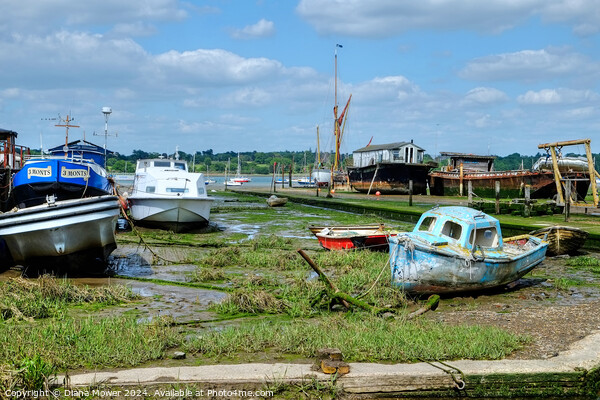 Pin Mill low tide on the Hard  Picture Board by Diana Mower