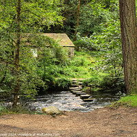 Buy canvas prints of Hebden Beck Stepping Stones by Diana Mower