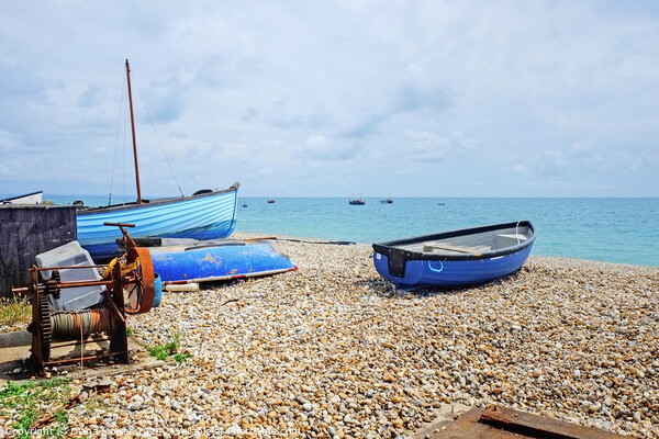 Selsey Bill Beach and Boats Picture Board by Diana Mower