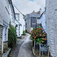 Buy canvas prints of Port Isaac Back Street by Diana Mower