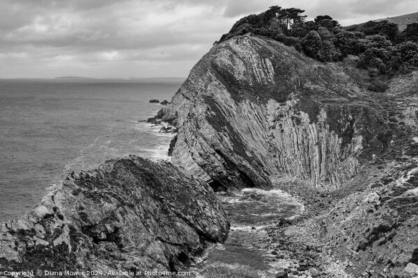Stair Hole Dorset Monochrome Picture Board by Diana Mower
