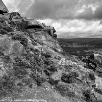 Buy canvas prints of The Cow and Calf Seat Monochrome by Diana Mower