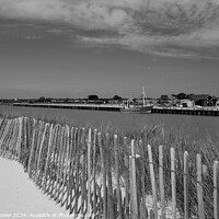 Buy canvas prints of Southwold River Blyth Monochrome by Diana Mower