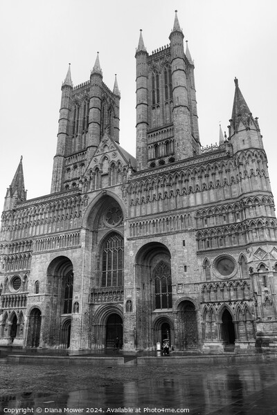Lincoln Cathedral Rainy Day Mono Picture Board by Diana Mower