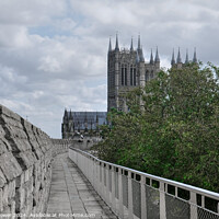 Buy canvas prints of Lincoln Cathedral From the Castle Walls by Diana Mower
