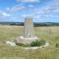 Buy canvas prints of The TrundleTriangulation point by Diana Mower