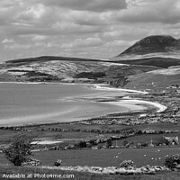 Buy canvas prints of The Isle of Arran Monochrome by Diana Mower