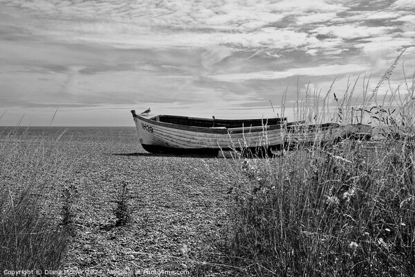 Aldeburgh Beach flowers Monochrome   Picture Board by Diana Mower