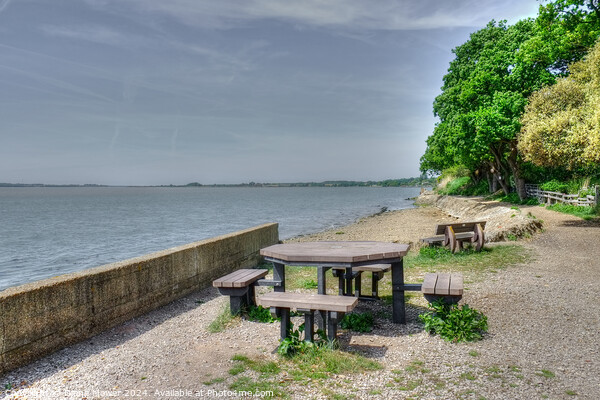  Shotley Picnic Area Suffolk Picture Board by Diana Mower