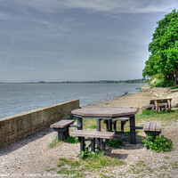 Buy canvas prints of  Shotley Picnic Area Suffolk by Diana Mower