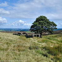Buy canvas prints of Top Withens Haworth Moor Yorkshire by Diana Mower