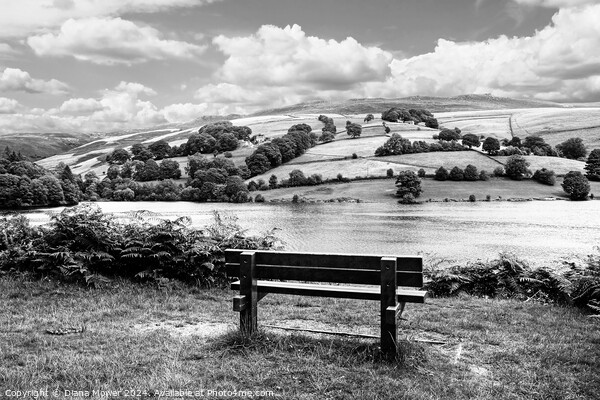 Ladybower View Mono Picture Board by Diana Mower