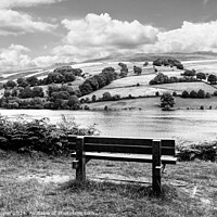 Buy canvas prints of Ladybower View Mono by Diana Mower