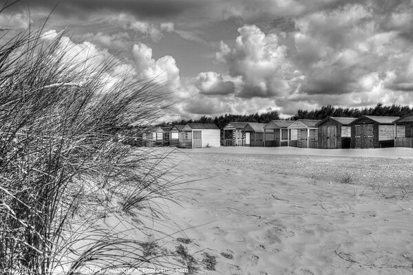 West Wittering beach huts and Dunes Mono Picture Board by Diana Mower