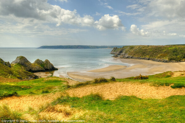 Three Cliffs Bay Gower Peninsula Wales Picture Board by Diana Mower