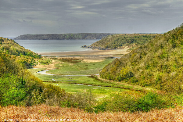 Three Cliffs Bay Gower Picture Board by Diana Mower