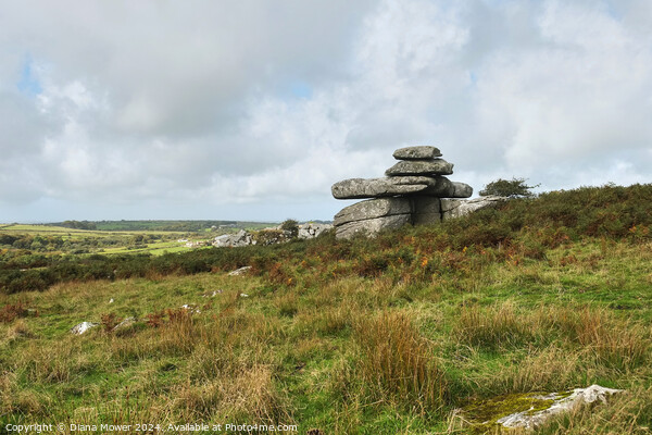 Carbilly Tor Cheesewring Bodmin Picture Board by Diana Mower