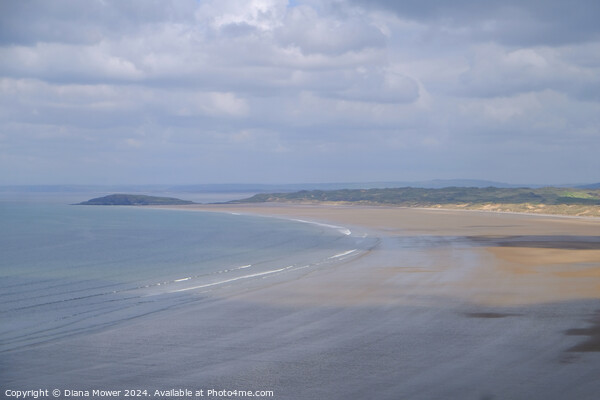 Rhossili Beach Gower Wales Picture Board by Diana Mower