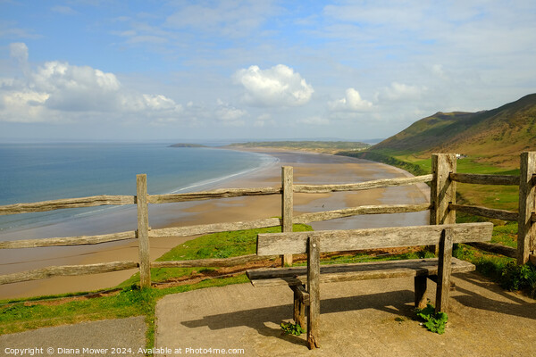 Rhossili Beach View Gower Wales Picture Board by Diana Mower