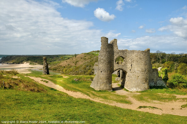 Pennard Castle Gower Wales Picture Board by Diana Mower