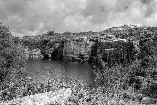 Carbilly Tor old quarry  Monochrome Picture Board by Diana Mower
