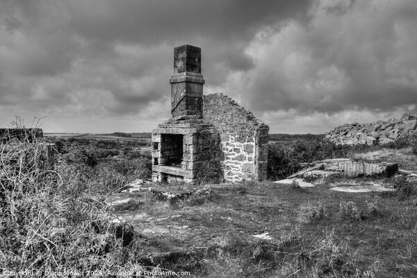 Bodmin Moor Carbilly old quarry works Mono Picture Board by Diana Mower