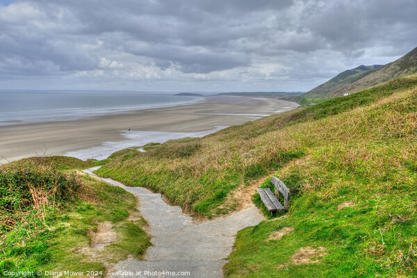 Rhossili Bay cliff path Gower Wales Picture Board by Diana Mower