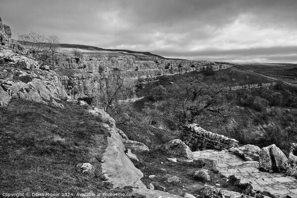  Malham Cove Steps monochrome  Picture Board by Diana Mower