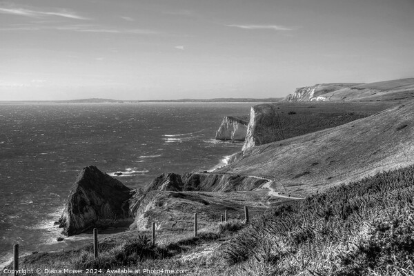  Jurassic Coastline  in Black and white Picture Board by Diana Mower