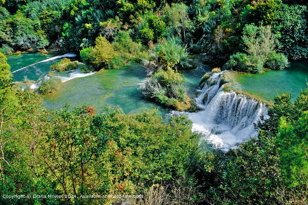 Krka Waterfalls Croatia  Picture Board by Diana Mower