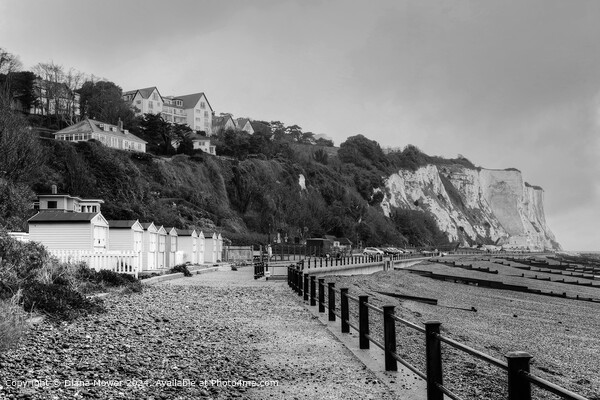 St Margarets Bay Kent  Monochrome   Picture Board by Diana Mower