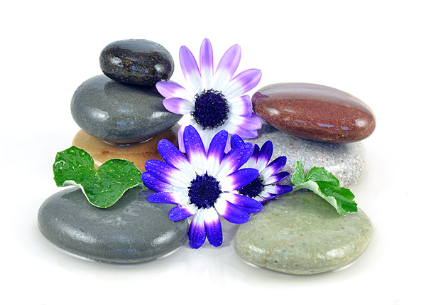 Zen Stones and Flowers Picture Board by Diana Mower