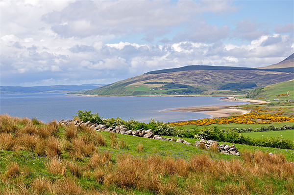 Isle of Arran Scotland Picture Board by Diana Mower