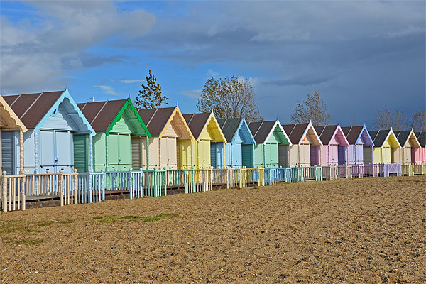 Beach Huts Mersea Essex Picture Board by Diana Mower
