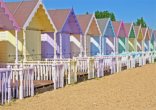 Mersea Beach Huts Picture Board by Diana Mower