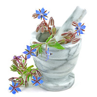 Buy canvas prints of Starflower with Pestle and Mortar by Diana Mower