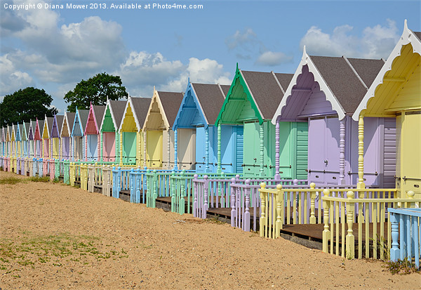 Beach Huts West Mersea Essex Picture Board by Diana Mower
