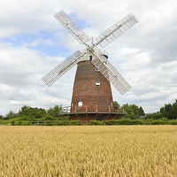 Buy canvas prints of Thaxted Windmill Essex by Diana Mower