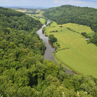 Buy canvas prints of Symonds Yat Forest of Dean Gloucester. by Diana Mower
