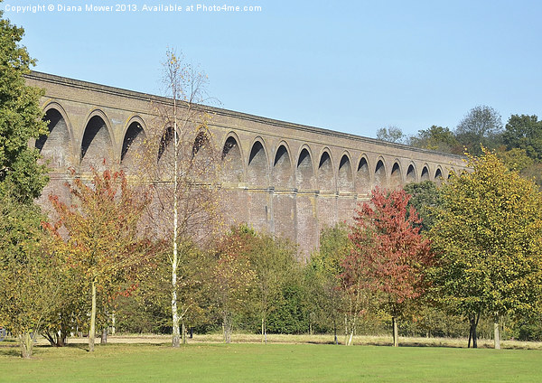 Chappel Viaduct Essex Picture Board by Diana Mower