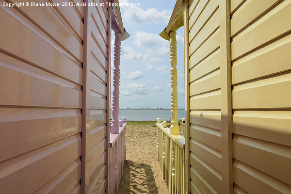 View through the huts West Mersea Essex Picture Board by Diana Mower