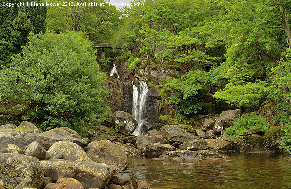 Inversnaid Waterfall Loch Lomond Scotaland  Picture Board by Diana Mower