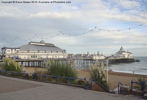 Eastbourne Pier Sussex Picture Board by Diana Mower