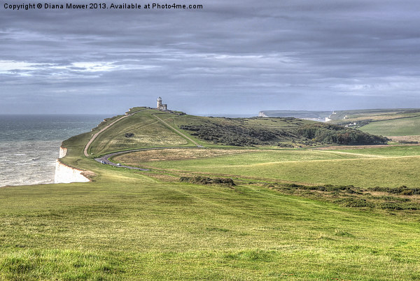 Belle Tout Lighthouse South Downs Sussex Picture Board by Diana Mower